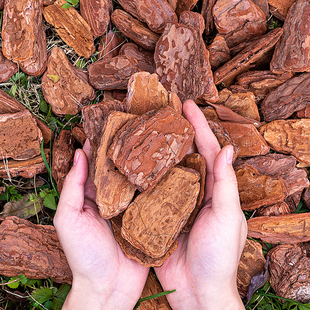 精打磨发酵腐熟松树皮松鳞园艺园林花园庭院树穴造景有机覆盖物
