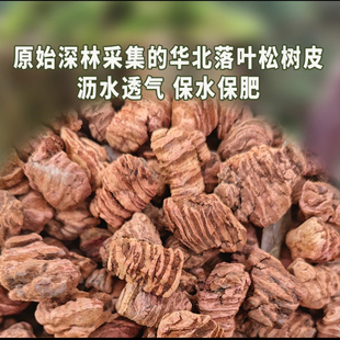 兰花专用养根发酵腐熟软树皮兰科植料发酵松鳞颗粒蝴蝶兰营养植料