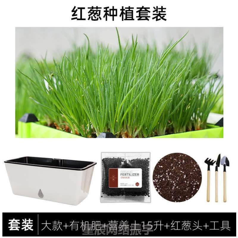 家庭盆自]阳台吸水塑料种菜种植塑料懒人长方形种菜花槽花盆神器