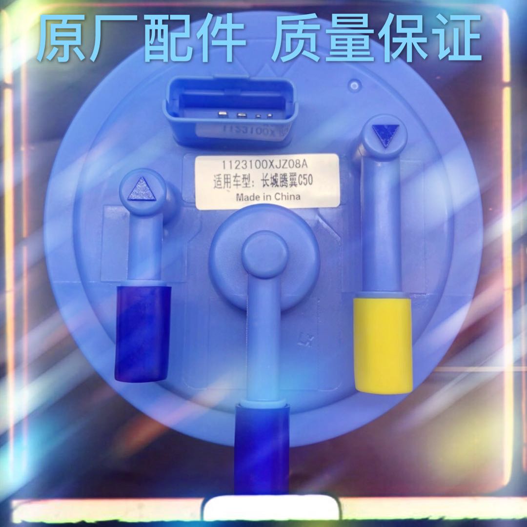 原厂适配长城嘉誉V80M2M4H5H6H3H6炫丽酷熊C30C20C50精灵M1汽油泵
