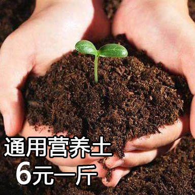 花泥多肉植物营养土大包种花土通用型绿萝种植土多肉专用土壤包邮