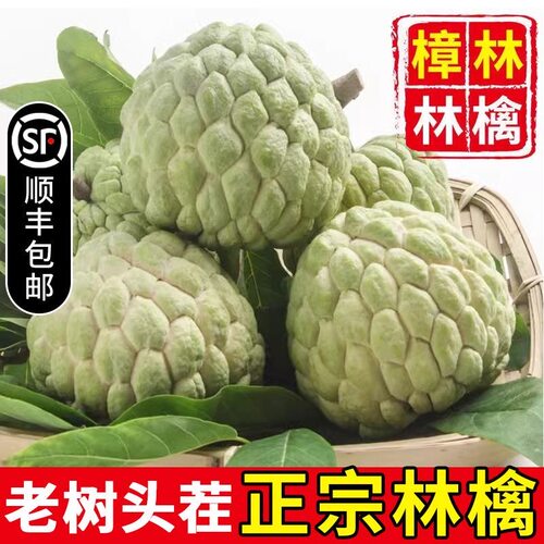 潮汕樟林现摘大目释迦果