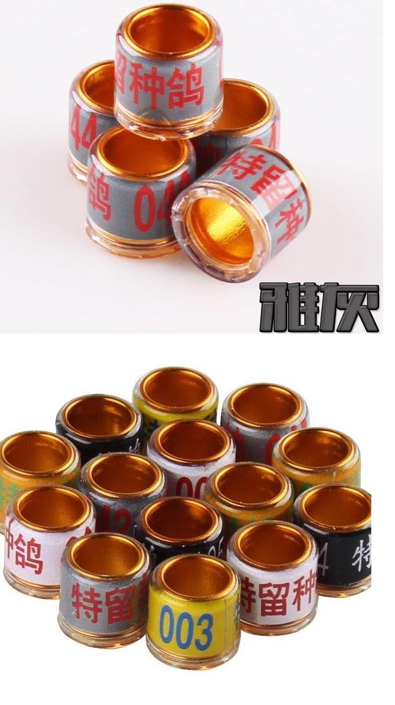 Nhẫn chim bồ câu Hàn Quốc giống đặc biệt chim bồ câu vòng nhẫn chim bồ câu chân vòng cung cấp thiết bị đánh dấu chim vòng chân chim bồ câu đua - Chim & Chăm sóc chim Supplies long chim cu