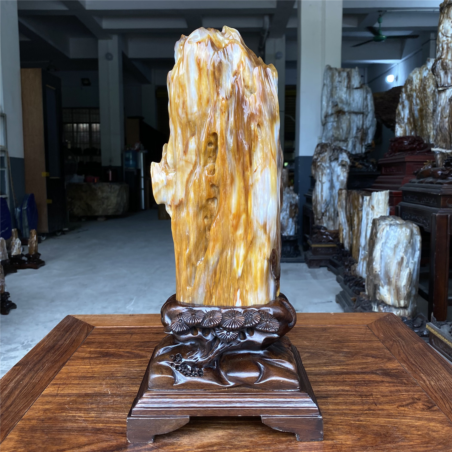 天然树化玉原石桌面摆件装饰客厅观赏石木化石奇石玉石收藏送礼