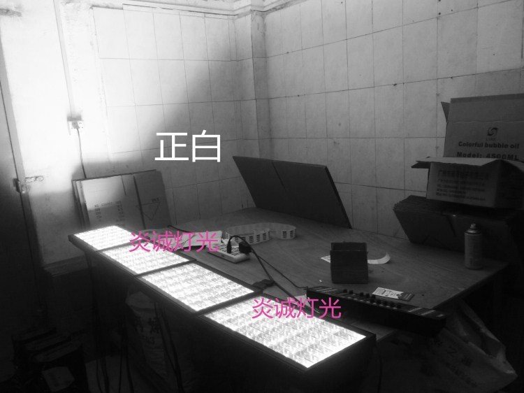 网友分享在meiguo.com的图片