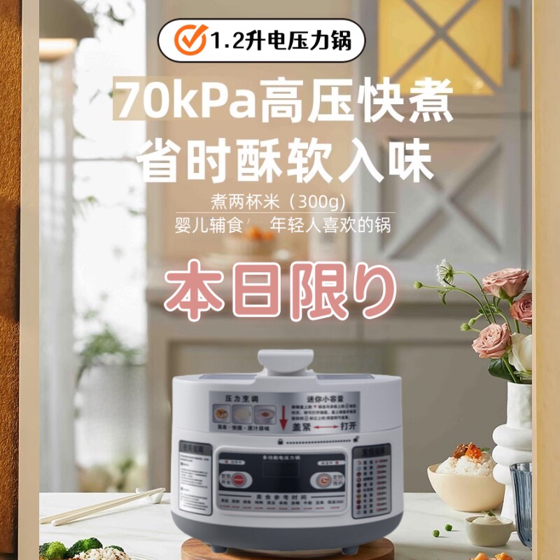 电压力锅一人食电高压饭锅一人电