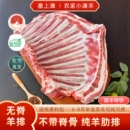 羊排新鲜冷冻肋排正宗宁夏盐池滩羊羔羊生羊排烧烤食材羊小排年货