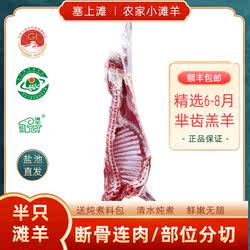 宁夏盐池滩羊肉半只羊新鲜现宰整羊全羊白条18斤原切半羊年货礼盒