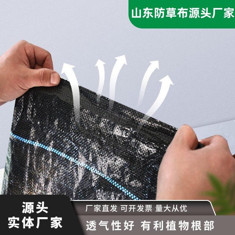 防草布除草布农用打孔果树果园盖草抑草切片透气保湿耐用加厚地膜