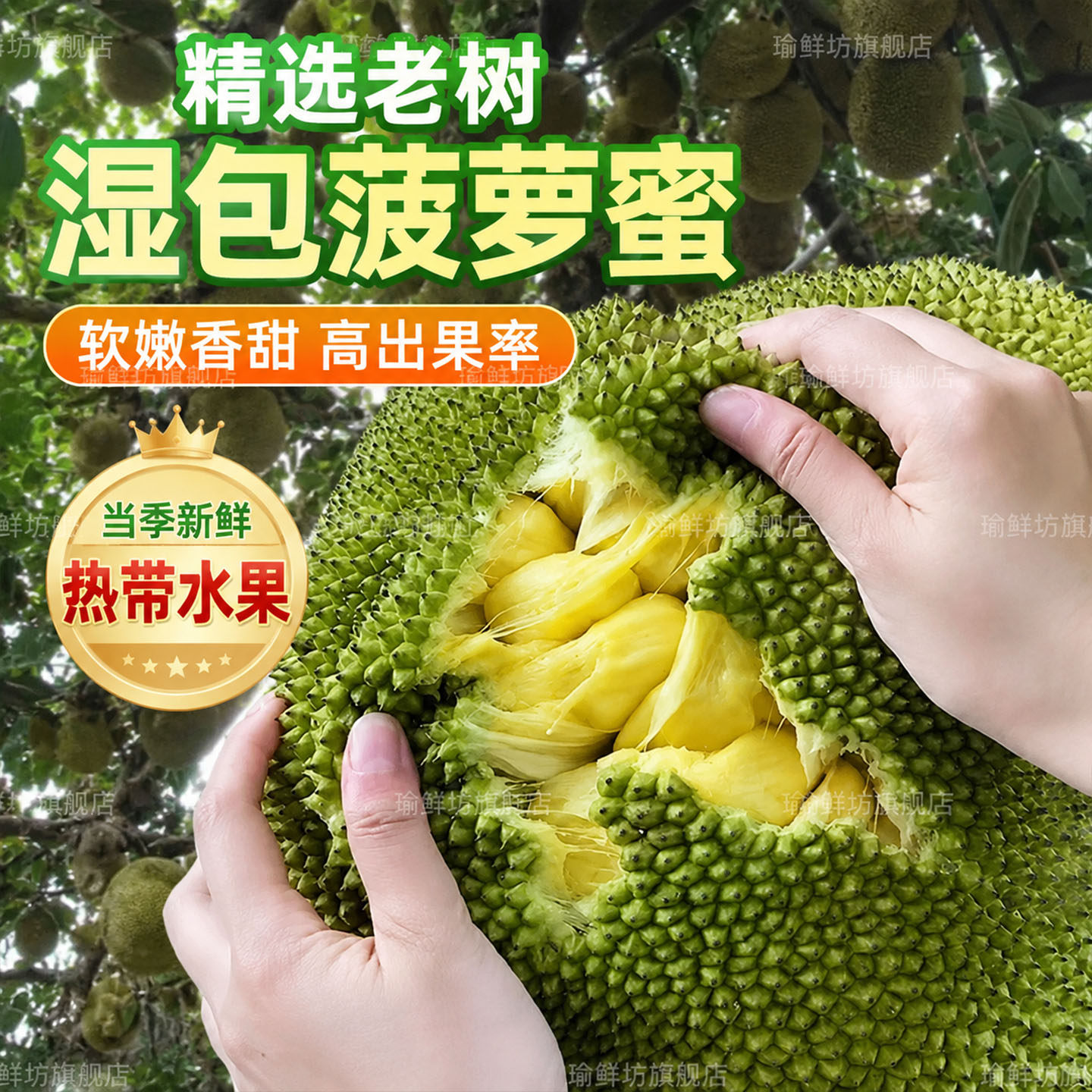 广西湿苞菠萝蜜新鲜榴莲