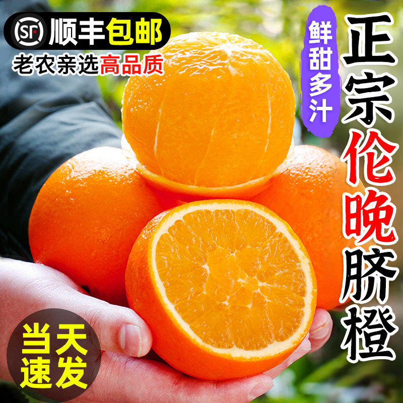 橙子伦晚脐橙新鲜10斤大