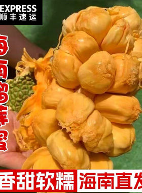 【顺丰发货】海南榴莲蜜