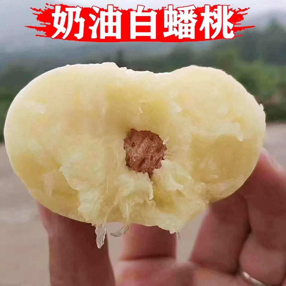 沂蒙山奶油蟠桃白如玉冰