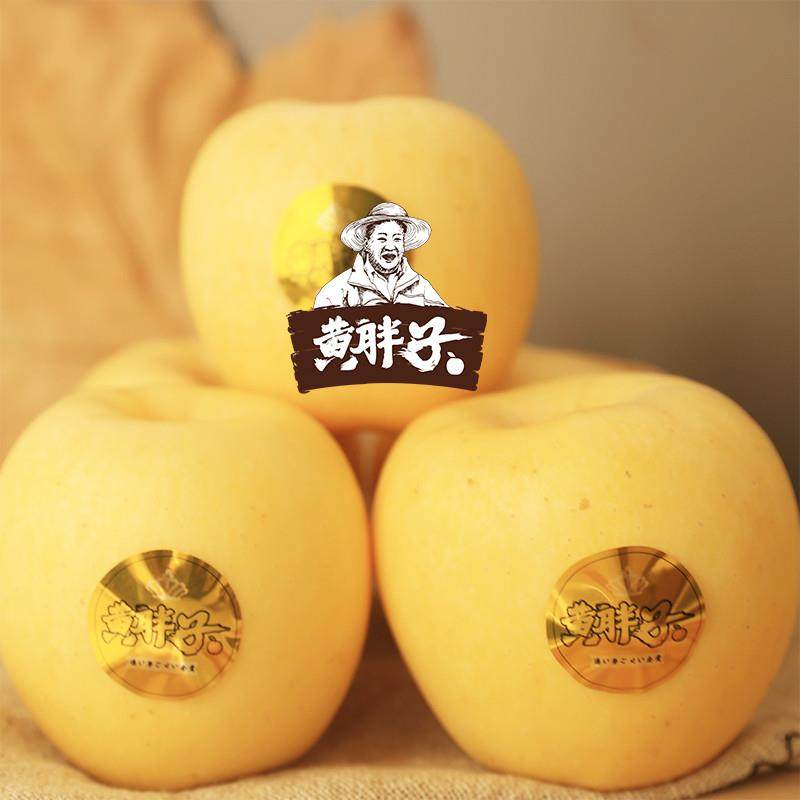 维纳斯黄金苹果10枚脆甜当季新鲜高档水果