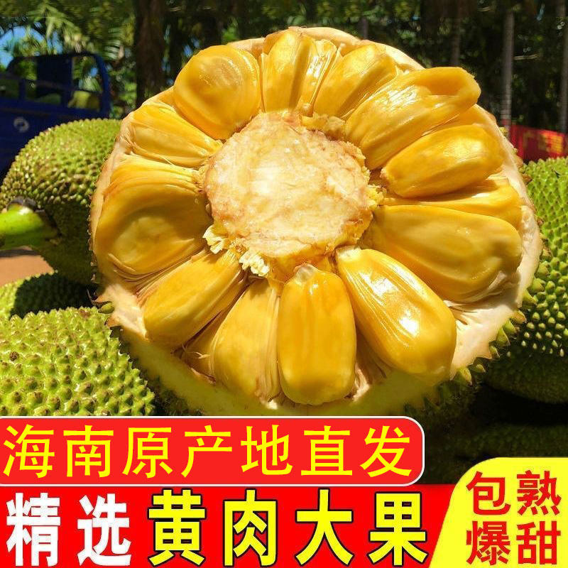 海南黄肉菠萝蜜新鲜水果