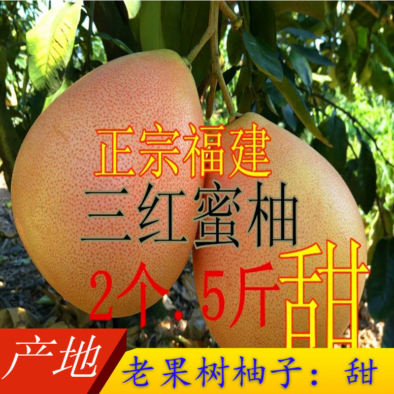 福建平和三红柚子红心柚香甜当季新鲜水果三红蜜柚礼盒装整箱大果