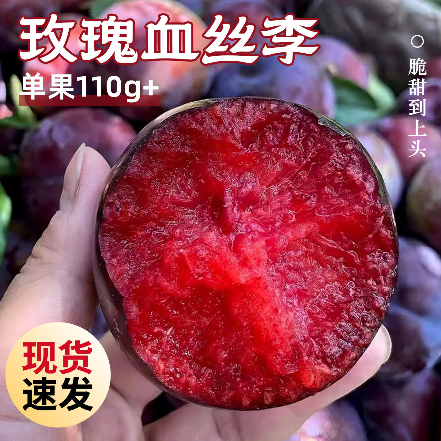 玫瑰血丝李5斤新鲜红肉红