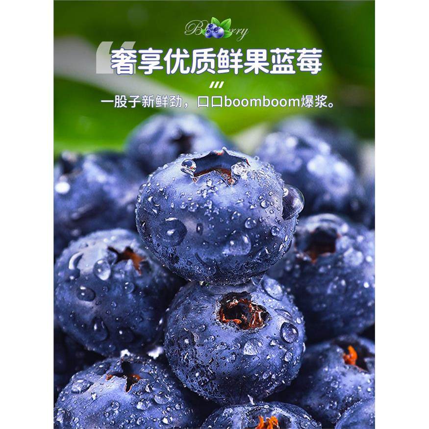 云南新鲜蓝莓8杯当季水果蓝梅鲜果高山怡颗甜莓孕妇蔓越京东包邮,包装,水果包装,淘宝优惠券,粉丝福利购,淘宝优惠卷