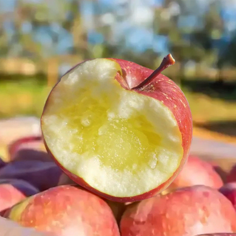 云南昭通丑苹果冰糖心苹果应当季新鲜水果包邮整箱脆甜多汁,包装,水果包装,淘宝优惠券,粉丝福利购,淘宝优惠卷