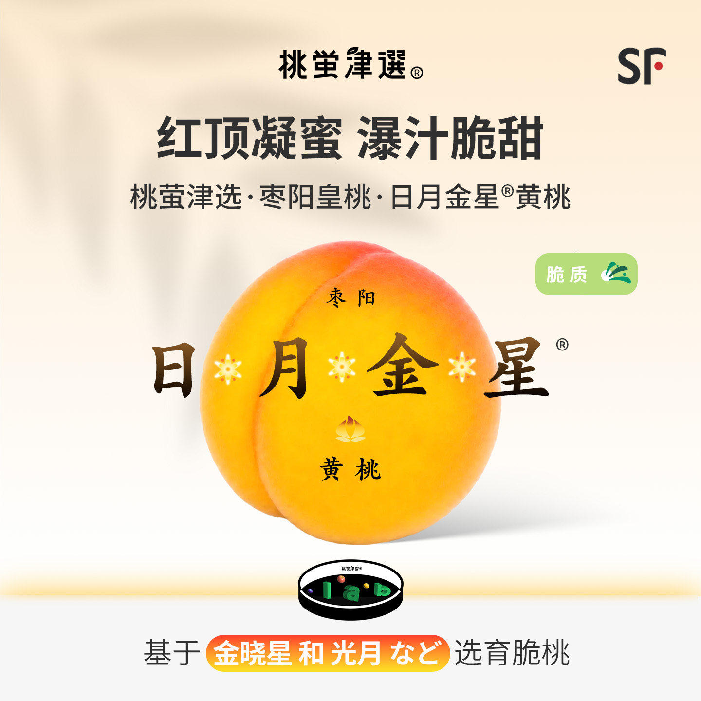 稀!桃萤津选日月金星黄