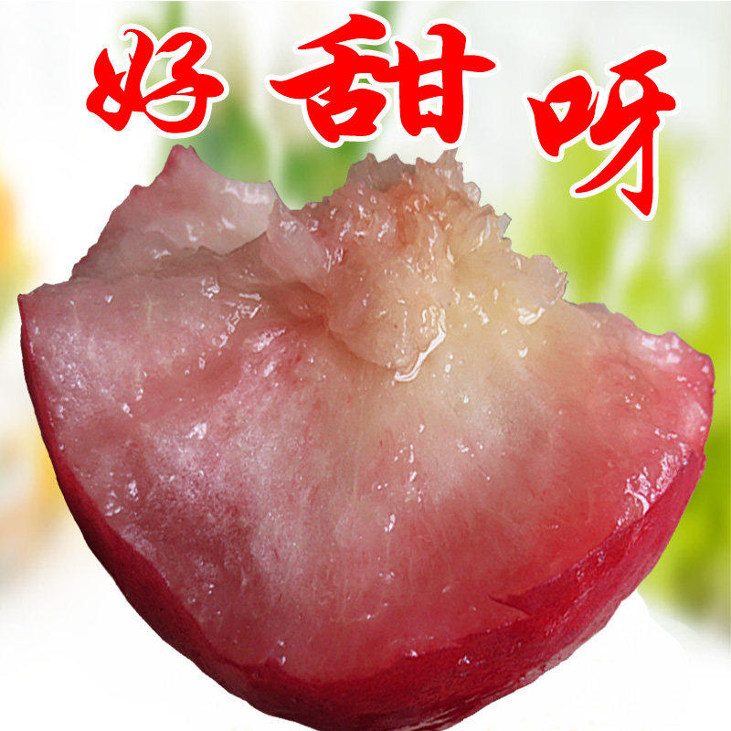 正宗蒙阴桃子新鲜水蜜果