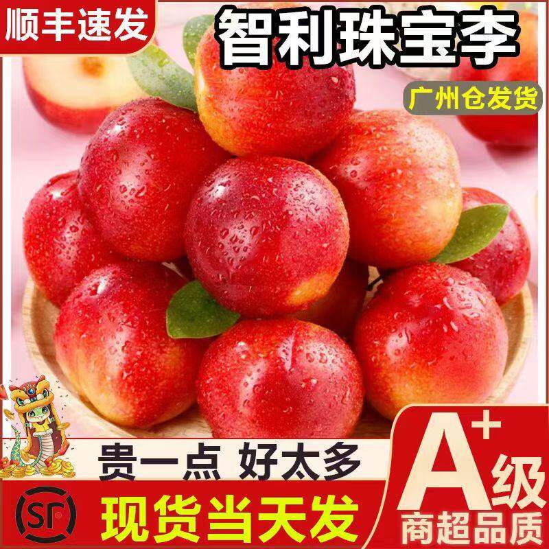智利珠宝李芙蓉子新鲜水