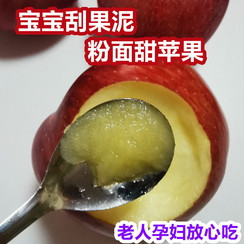 现货新果红香蕉粉面沙甜苹果宝宝刮泥婴儿老人吃的绵新鲜水果孕妇