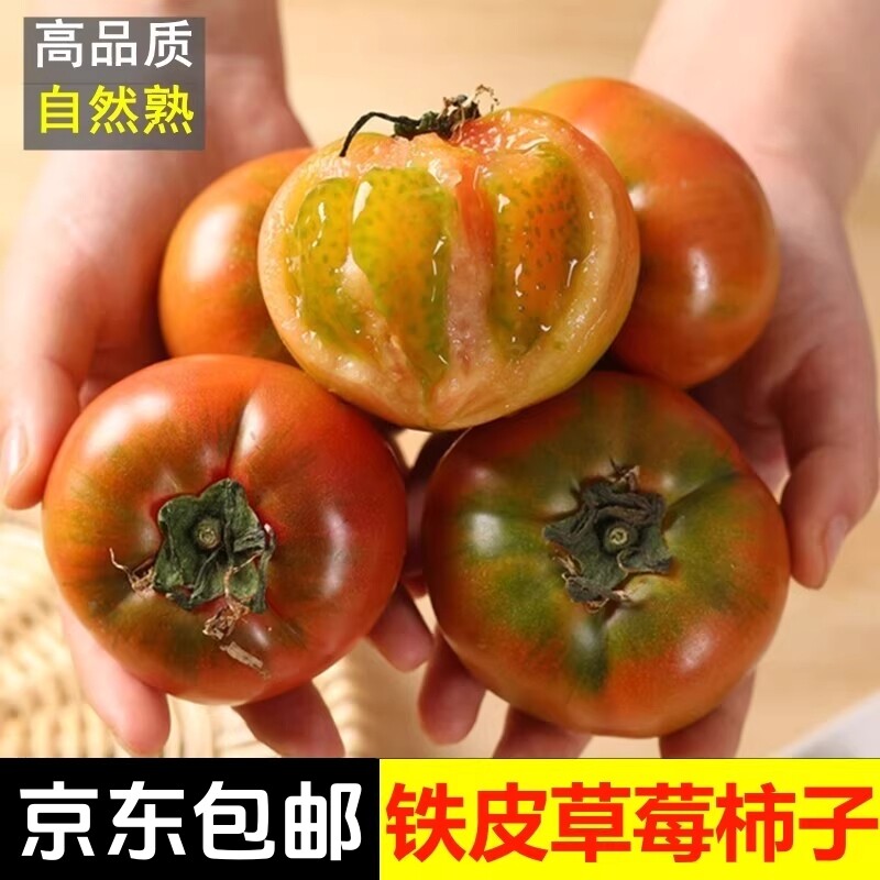 丹东草莓柿子铁皮西红柿