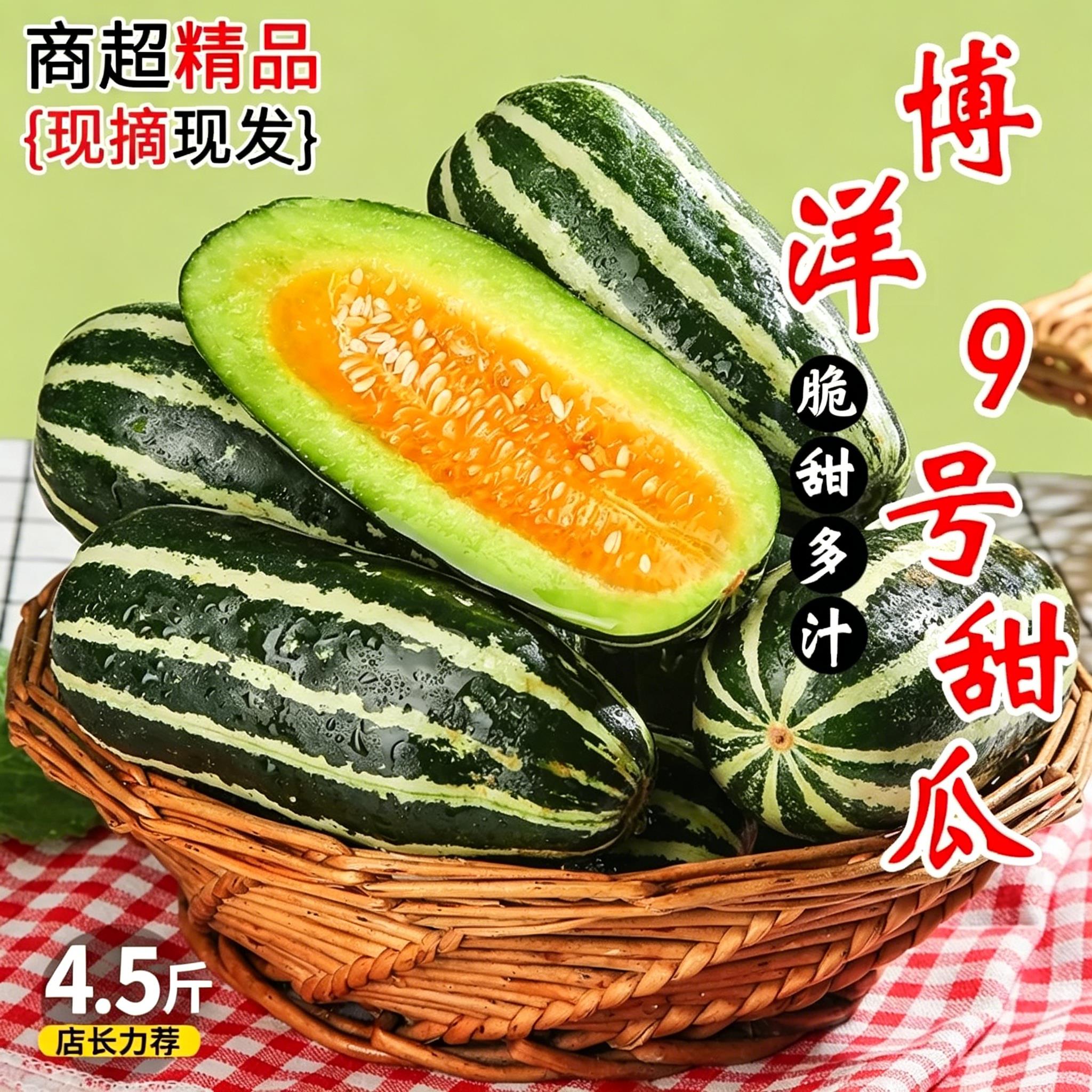 山东博洋9号甜瓜5斤新鲜