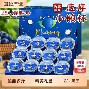 云南高山花香蓝莓l25新鲜水果特大果当季整箱小懒杯礼盒blueberry