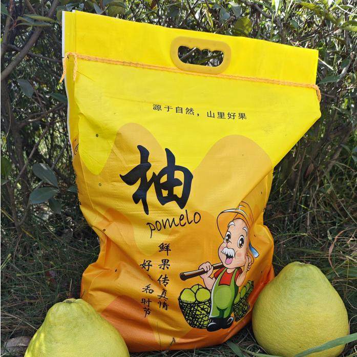 老树纯甜礼品袋装正宗信龙梅州沙田柚客家土特产梅县金柚柚子水果