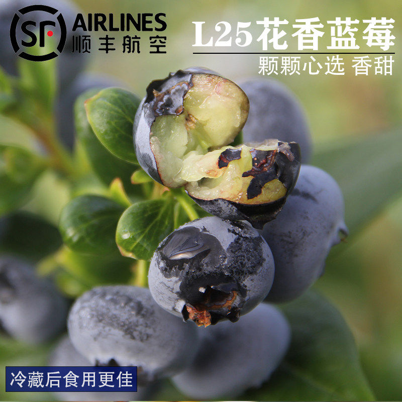 云南自然熟L25花香蓝莓 香甜孕妇水果新鲜现摘蓝莓礼盒装顺丰空运,包装,水果包装,淘宝优惠券,粉丝福利购,淘宝优惠卷
