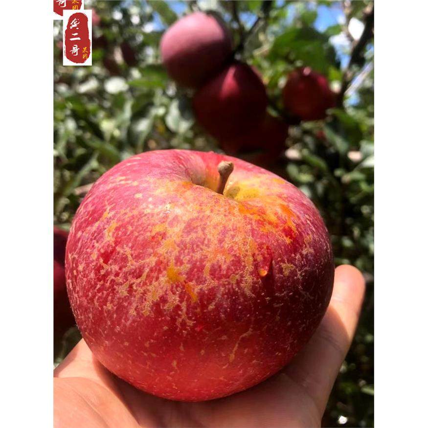 正宗冰糖心丑苹果现摘云南昭通新鲜水果红富士野苹果绍通红露当季,包装,水果包装,淘宝优惠券,粉丝福利购,淘宝优惠卷