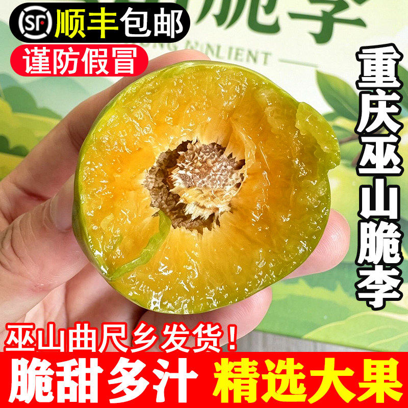 顺丰包邮重庆巫山脆李当