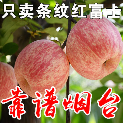 烟台红富士苹果水果新鲜
