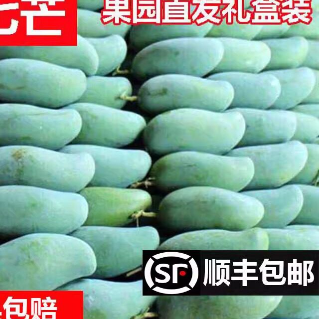 广西新鲜特产芒果白色田
