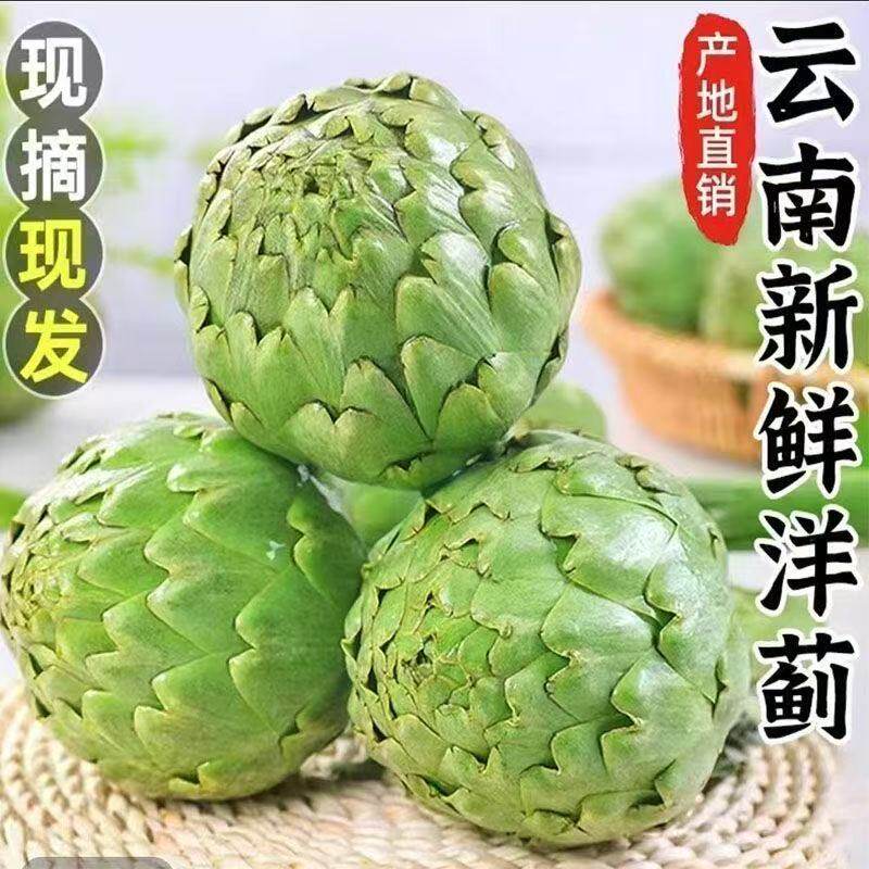 云南特产洋蓟大果当季新