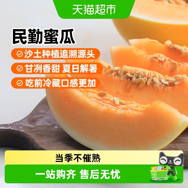 西域美农甘肃民勤蜜瓜沙