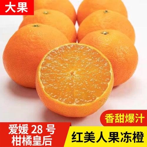 红美人柑橘皇后爱媛28号果冻橙正宗橙子福建漳州平和橘子38缓新鲜
