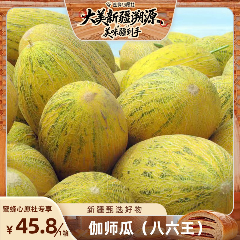 (又脆又甜)伽师瓜(八