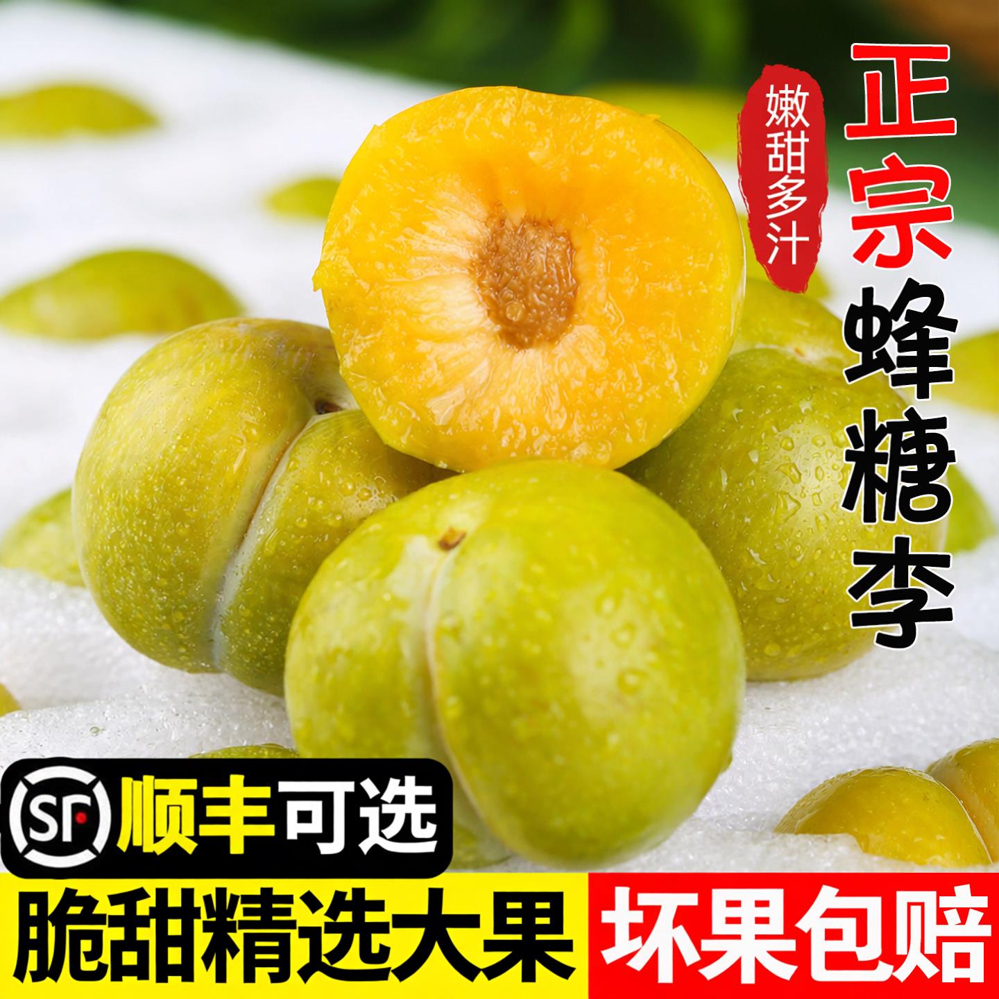 贵州蜂糖李子果当季现摘