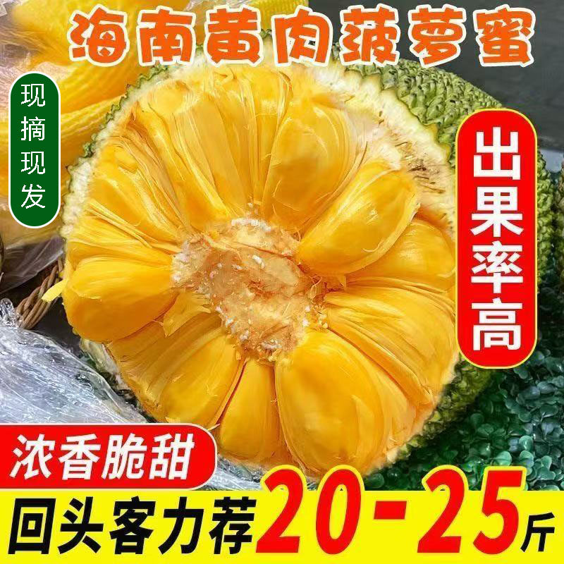 现摘海南三亚黄肉菠萝蜜