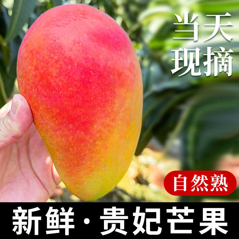 海南贵妃芒芒果新鲜当季水果树上熟10时令斤整箱包邮大青辣椒芒果