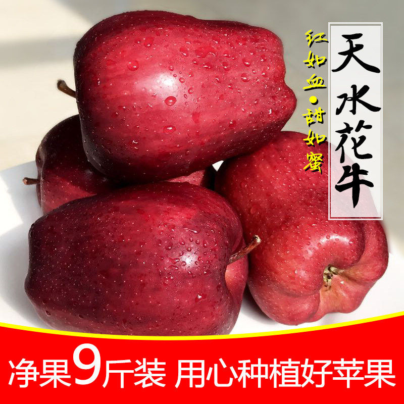 甘肃天水花牛苹果新鲜水果当季现摘孕妇宝宝粉面苹果整箱包邮特级