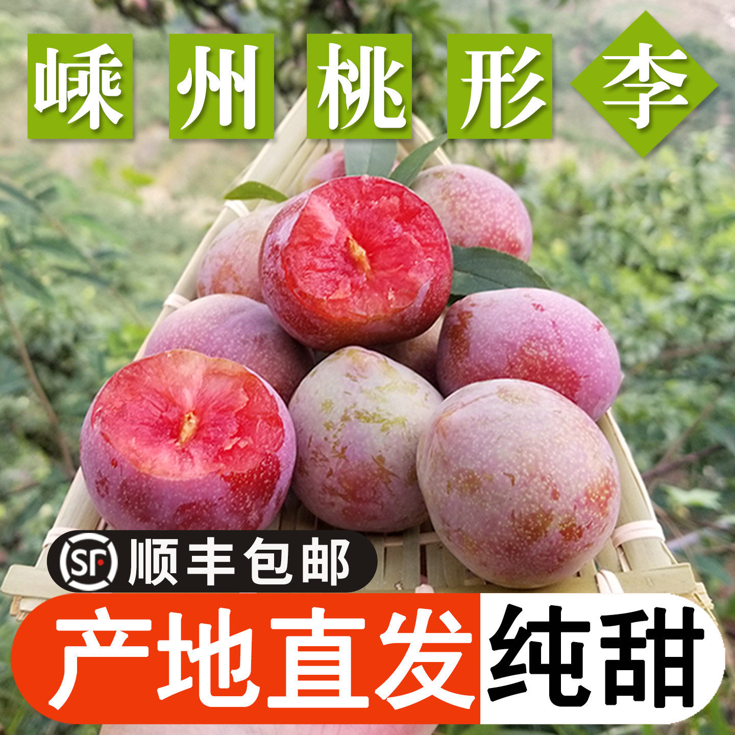 正宗嵊州桃形李子新鲜水