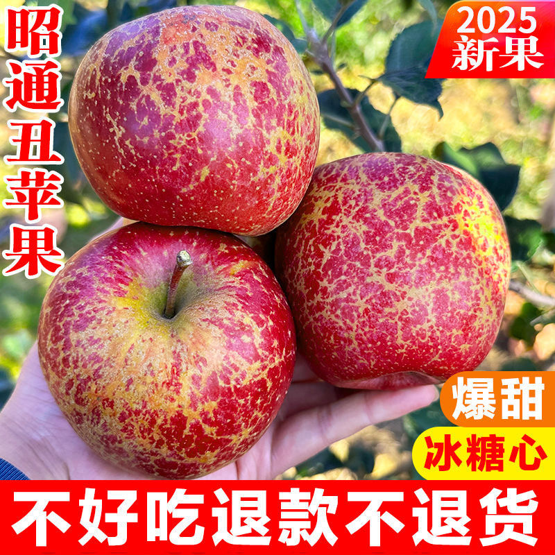 云南昭通丑苹果新鲜水果当季冰糖心红露苹果现摘红富士邵通包邮,包装,水果包装,淘宝优惠券,粉丝福利购,淘宝优惠卷