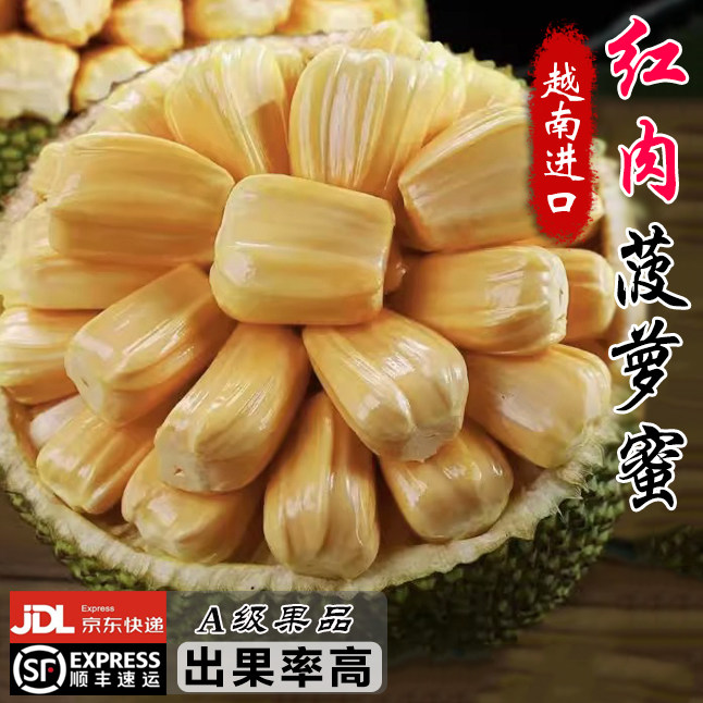 正宗进口越南红肉菠萝蜜