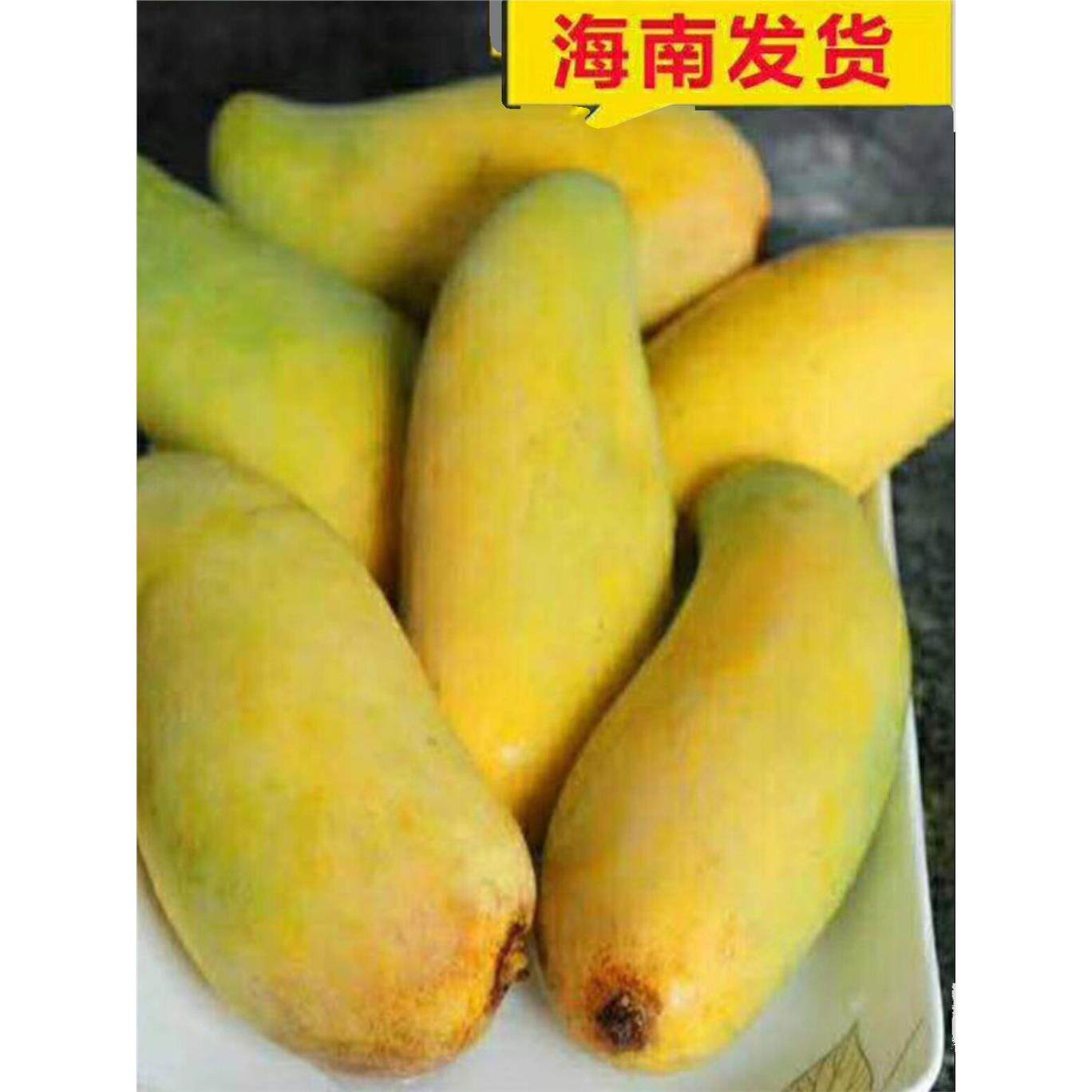 海南薄核熟腰芒果现摘现发5/10新鲜三亚酸甜脆小金煌芒象牙熟芒果