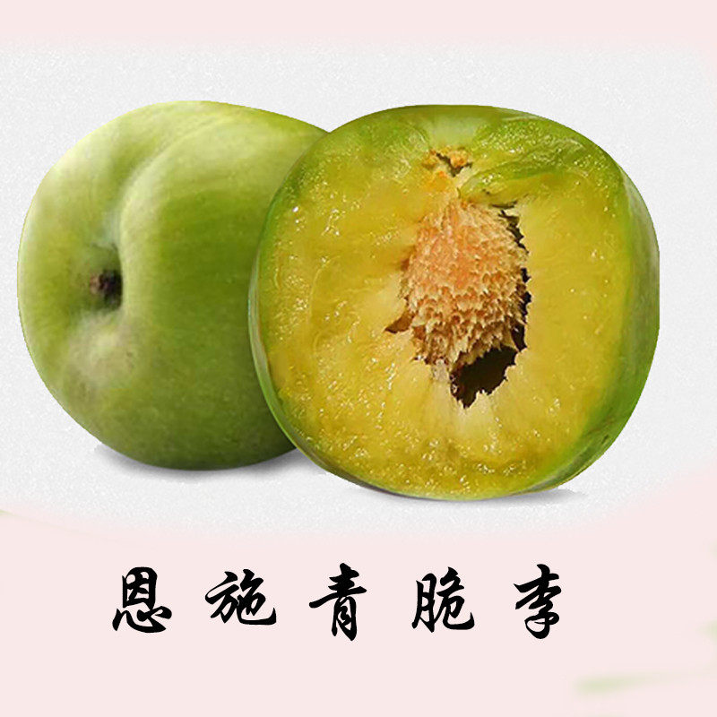 正宗恩施利川李水果新鲜整箱当季青脆脱骨李子蜂蜜巫山奈5斤包邮