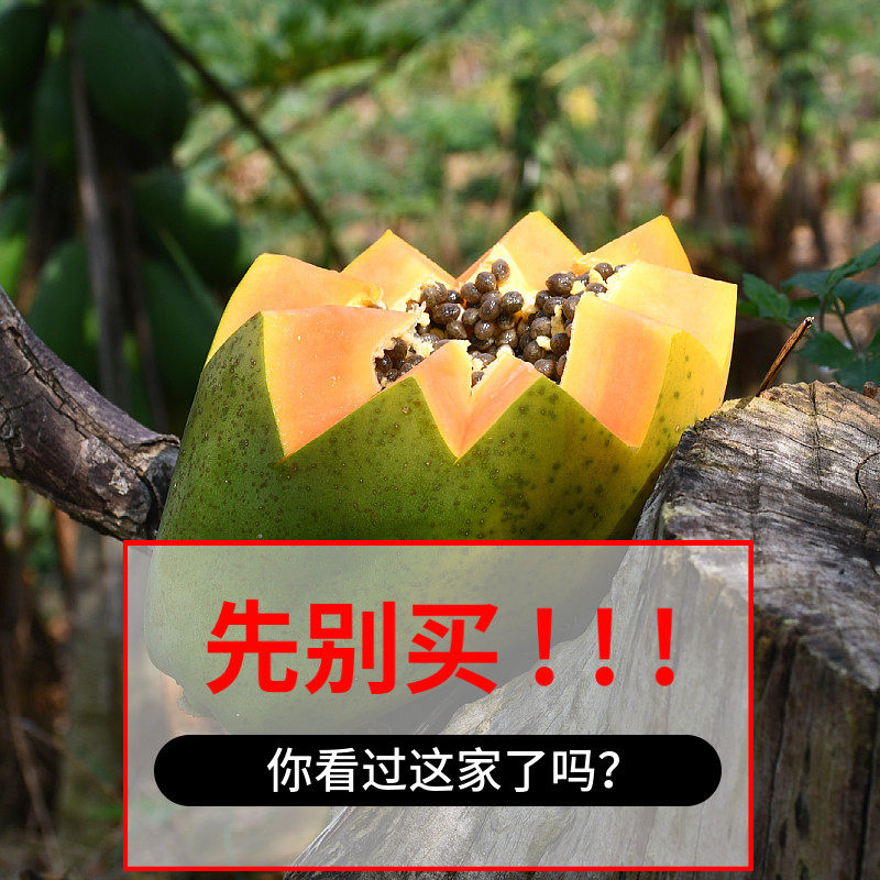 【不熟包赔】云南山地红心木瓜9斤应季新鲜水果冰糖心牛奶5斤9斤,包装,水果包装,淘宝优惠券,粉丝福利购,淘宝优惠卷